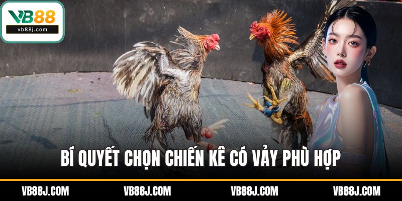 Bí quyết chọn chiến kê có vảy phù hợp