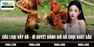 Các loại vảy gà