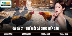 Đá gà C1