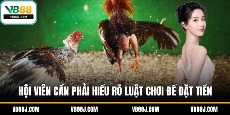 Hội viên cần phải hiểu rõ luật chơi để đặt tiền
