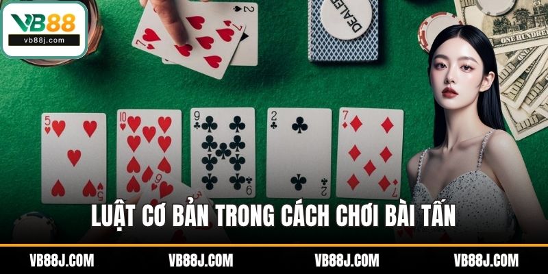 Luật cơ bản trong cách chơi bài tấn