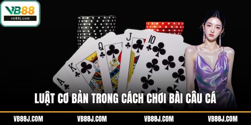 Luật cơ bản trong cách chơi bài câu cá