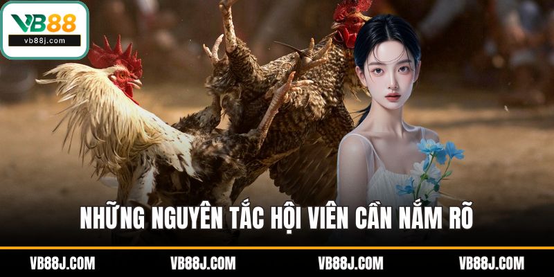 Những nguyên tắc hội viên cần nắm rõ