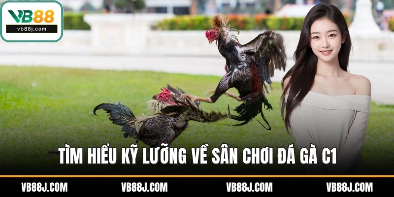 Tìm hiểu kỹ lưỡng về sân chơi đá gà C1