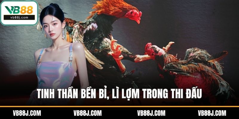 Tinh thần bền bỉ, lì lợm trong thi đấu