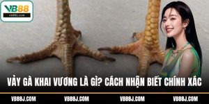 Vảy gà khai vương