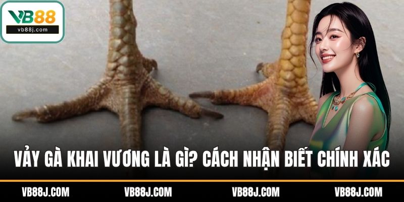 Vảy gà khai vương